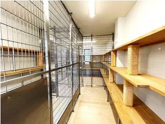 フリーゲジ猫室